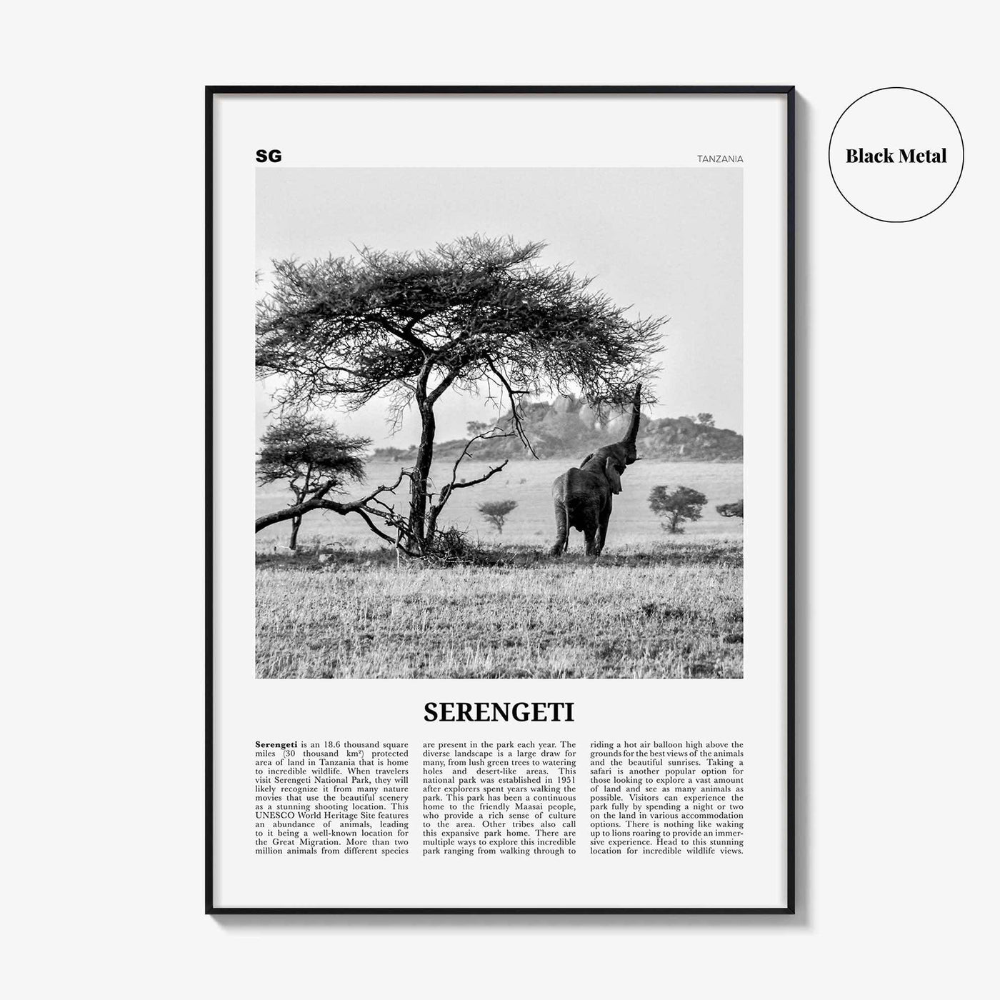 Serengeti National Park Poster