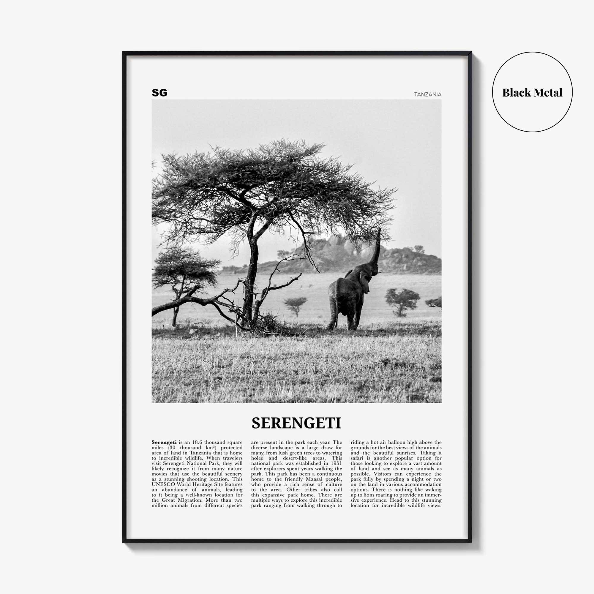 Serengeti National Park Poster