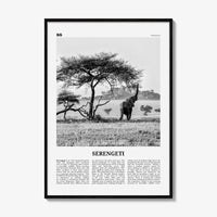 Serengeti National Park Print Black and White, Serengeti Wall Art, Serengeti Poster, Serengeti Photo, Serengeti Wall Décor, Tanzania