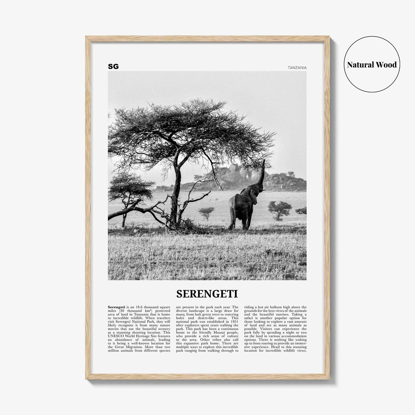 Serengeti National Park Print Black and White, Serengeti Wall Art, Serengeti Poster, Serengeti Photo, Serengeti Wall Décor, Tanzania