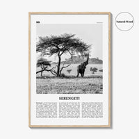 Serengeti National Park Print Black and White, Serengeti Wall Art, Serengeti Poster, Serengeti Photo, Serengeti Wall Décor, Tanzania