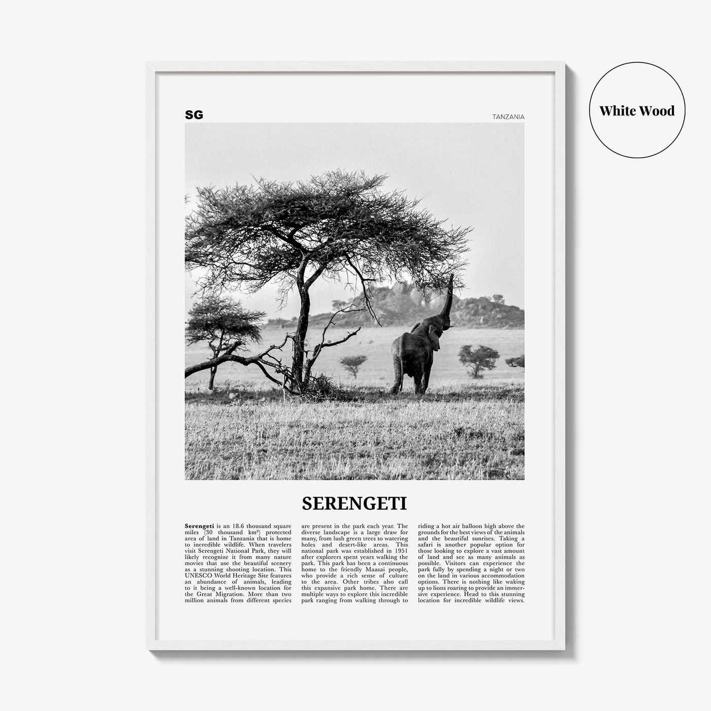 Serengeti National Park Print Black and White, Serengeti Wall Art, Serengeti Poster, Serengeti Photo, Serengeti Wall Décor, Tanzania