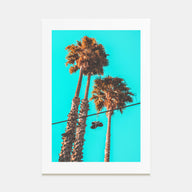Shoes Hanging Photo Color Poster