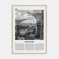 Singapore Travel B&W No 4 Poster