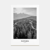 Slovakia Portrait B&W Poster