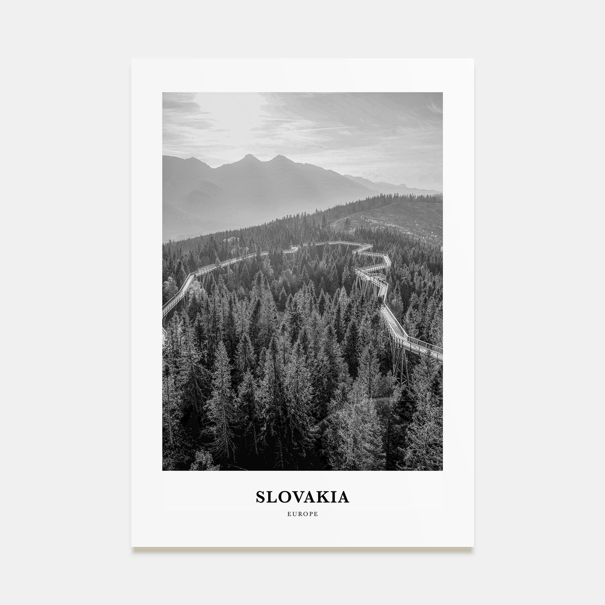 Slovakia Portrait B&W Poster