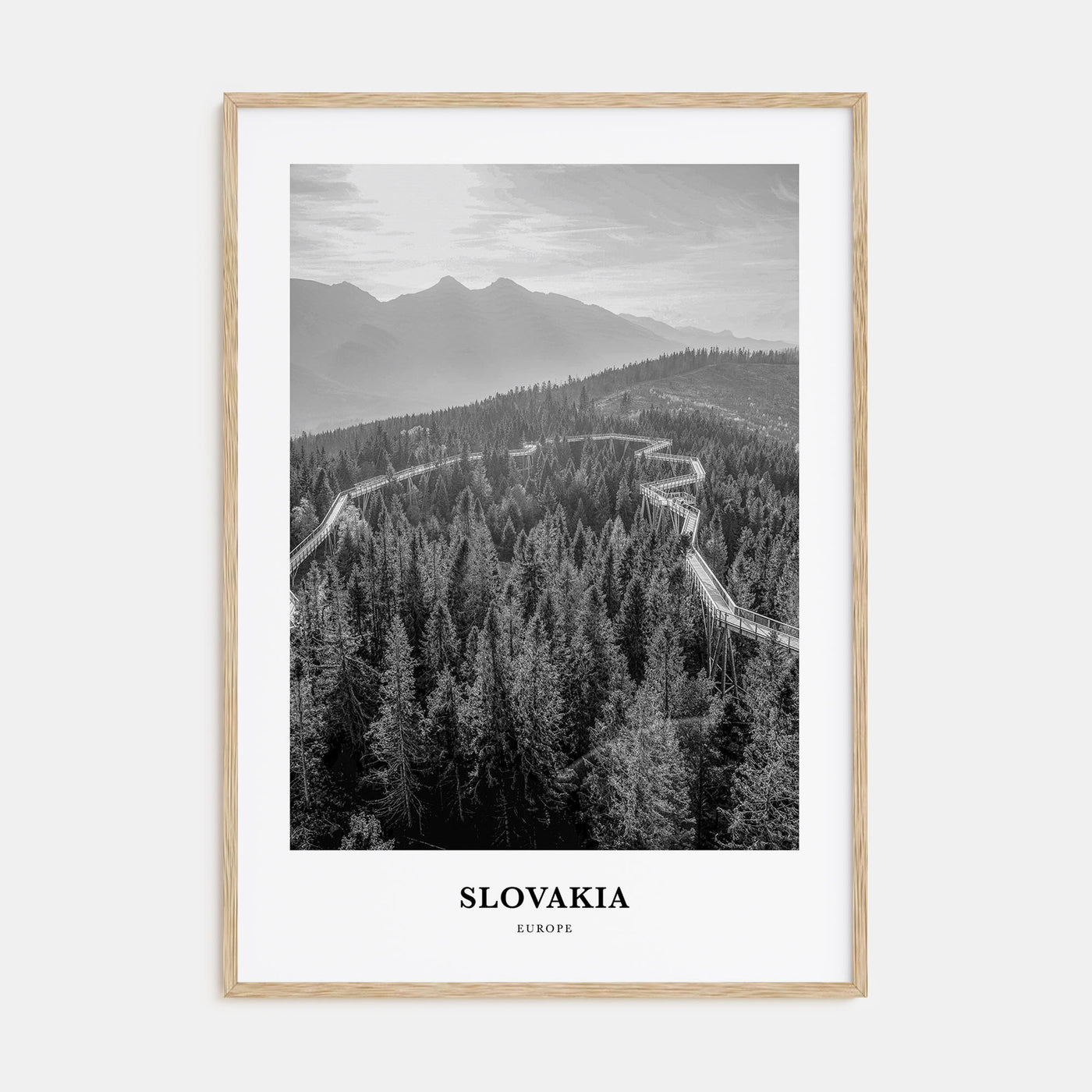 Slovakia Portrait B&W Poster