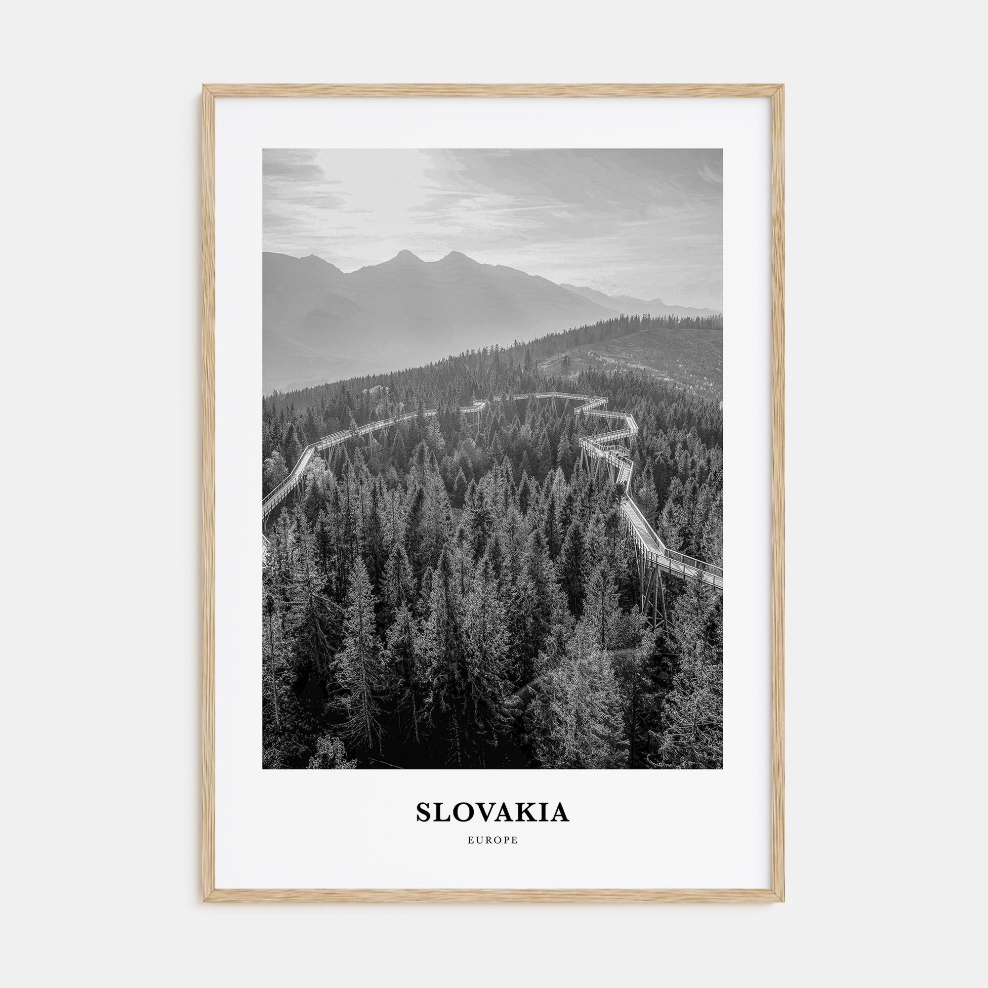 Slovakia Portrait B&W Poster