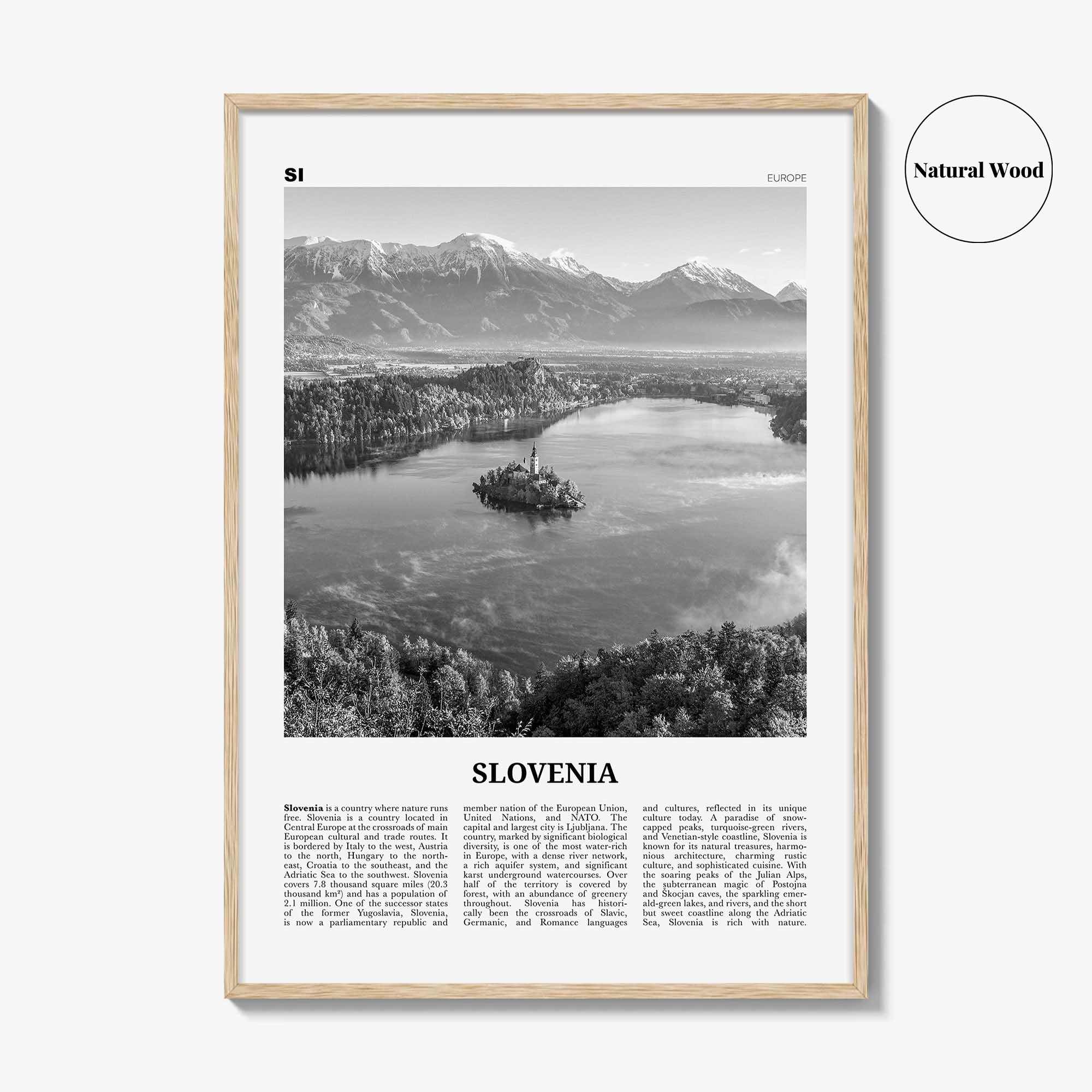 Slovenia Print Black and White, Slovenia Wall Art, Slovenia Poster, Slovenia Photo, Slovenia Wall Decor, Slovenija, Ljubljana, Europe