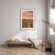 Sonoma Photo Color Poster