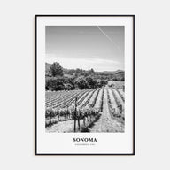 Sonoma Portrait B&W Poster