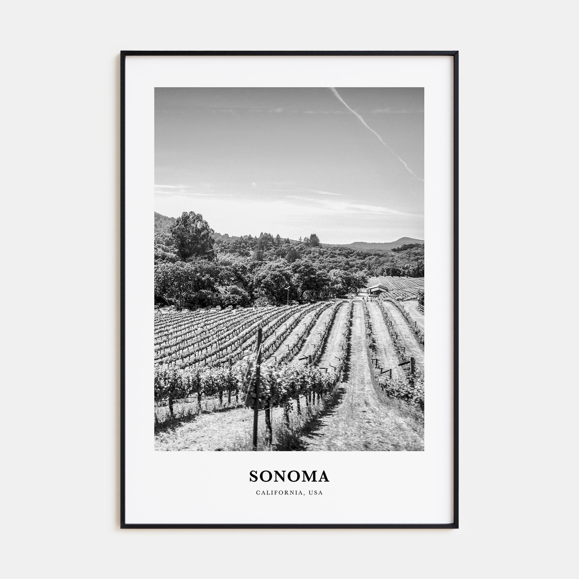 Sonoma Portrait B&W Poster