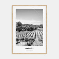 Sonoma Portrait B&W Poster