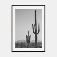 Sonora Photo B&W Poster