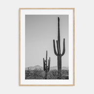 Sonora Photo B&W Poster