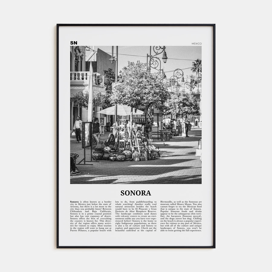 Sonora Travel B&W Poster