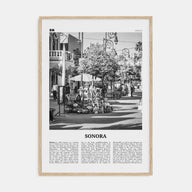 Sonora Travel B&W Poster