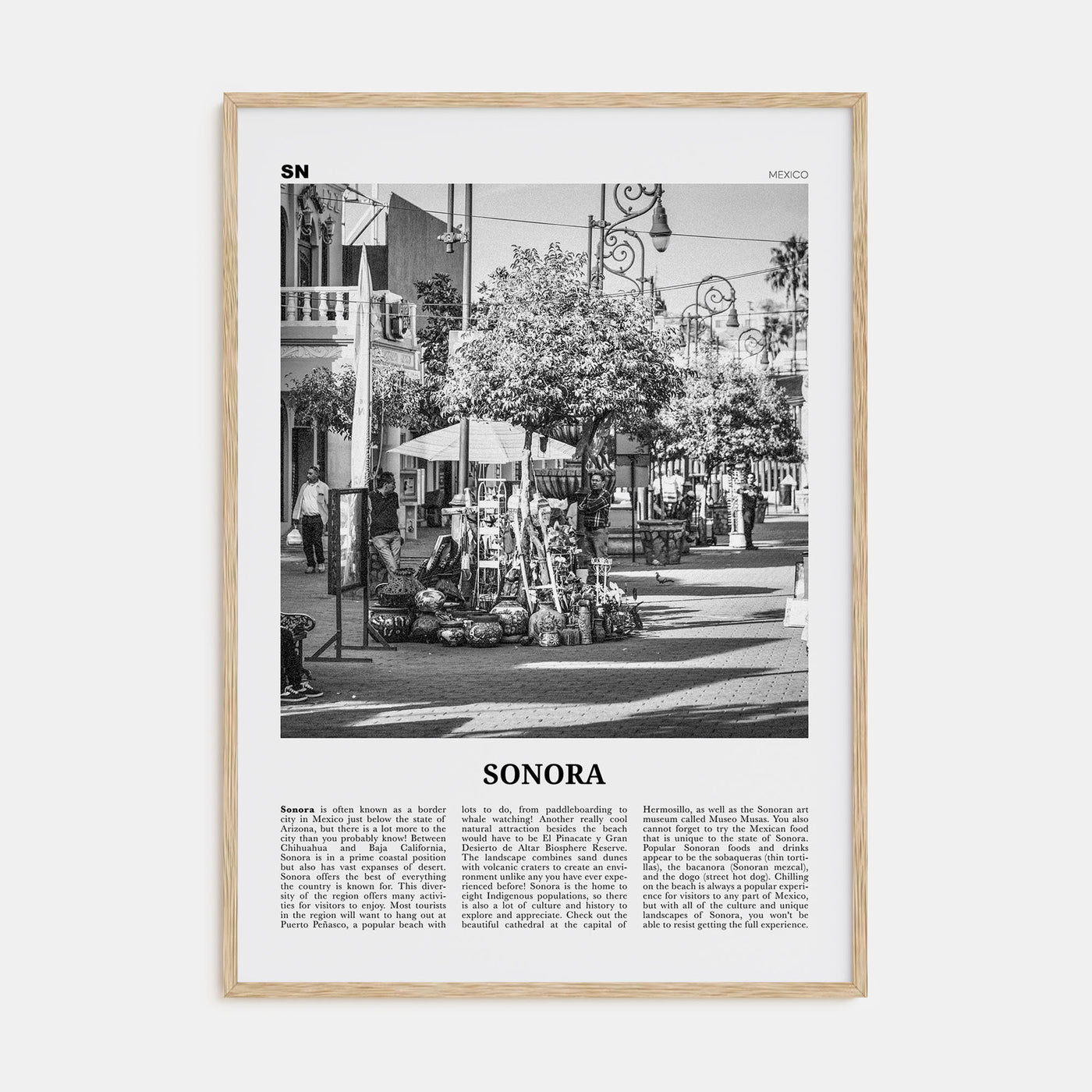 Sonora Travel B&W Poster