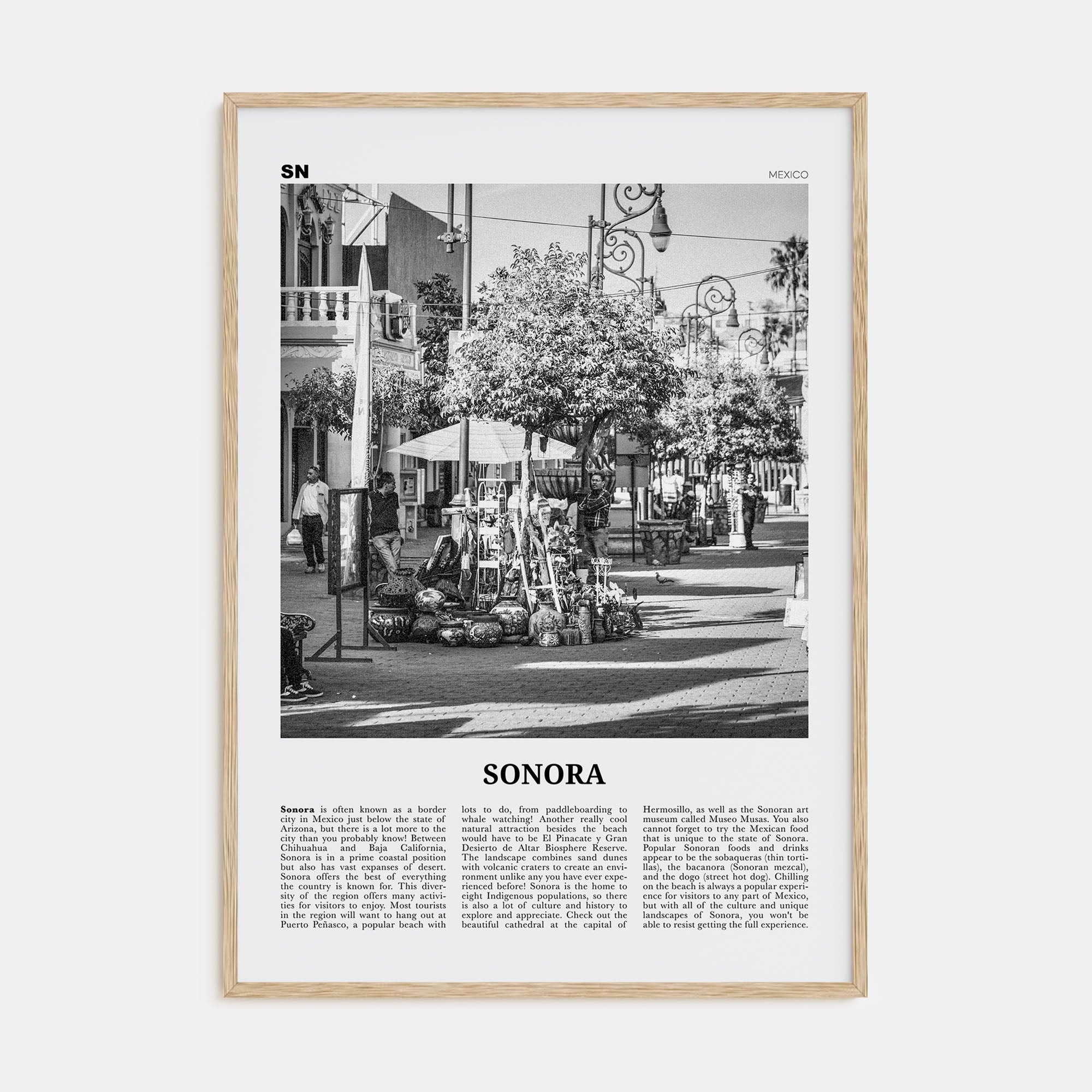 Sonora Travel B&W Poster