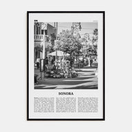Sonora Travel B&W Poster