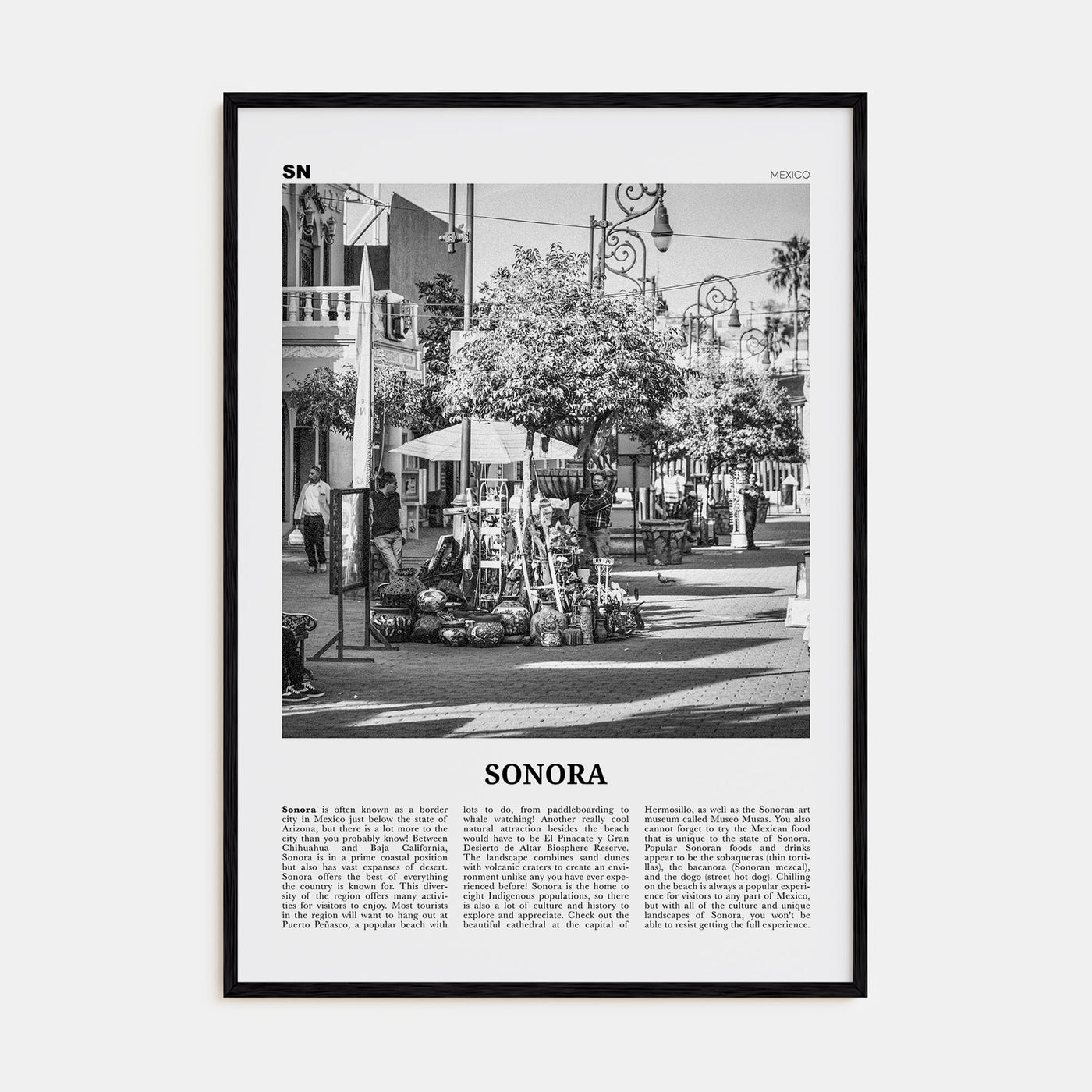 Sonora Travel B&W Poster