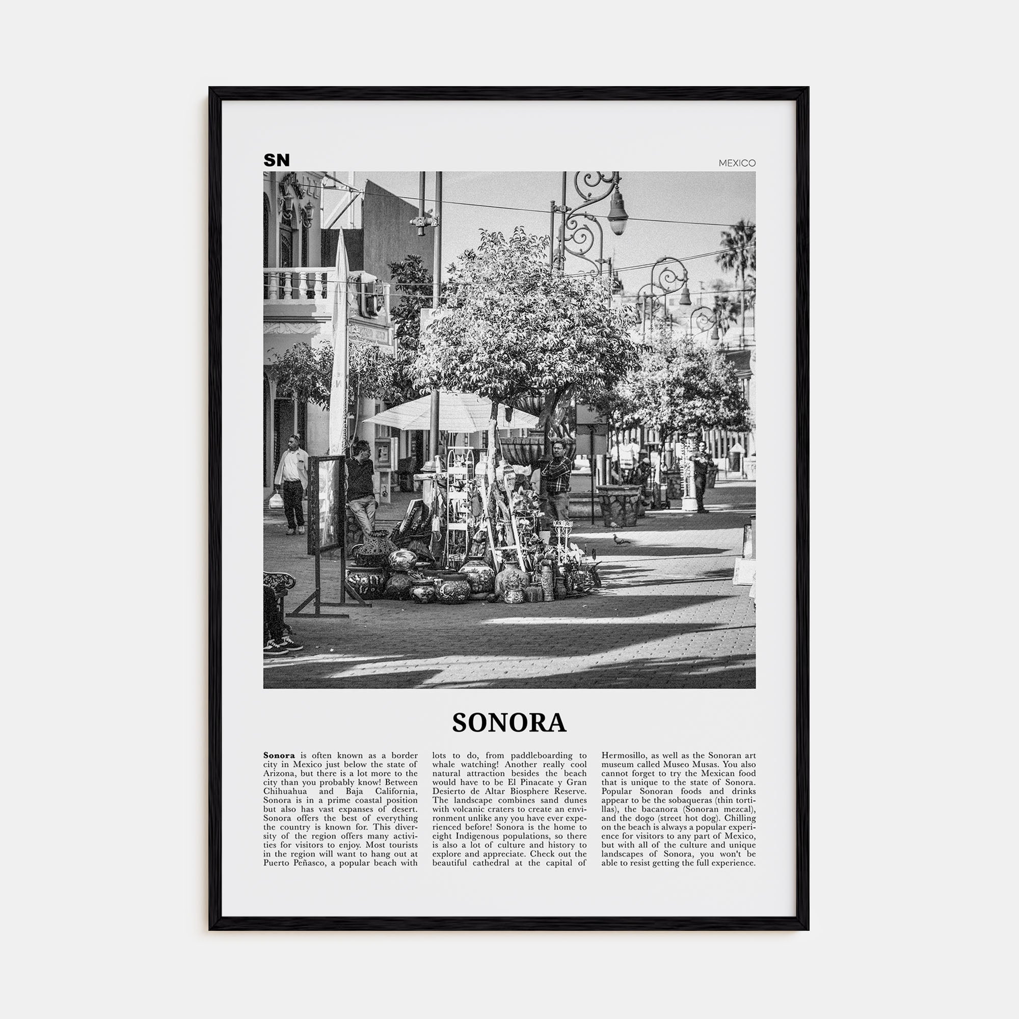 Sonora Travel B&W Poster