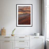 South Carolina Photo Color No 3 Poster