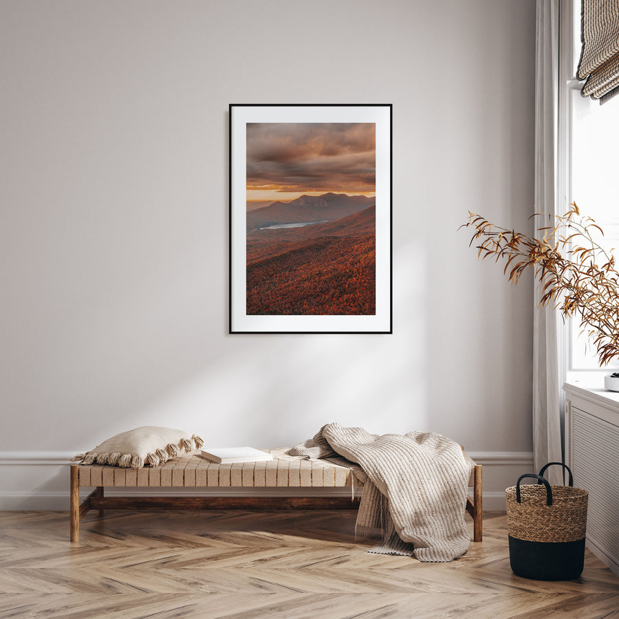 South Carolina Photo Color No 3 Poster