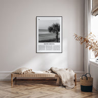 South Carolina Travel B&W No 1 Poster