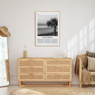 South Carolina Travel B&W No 1 Poster