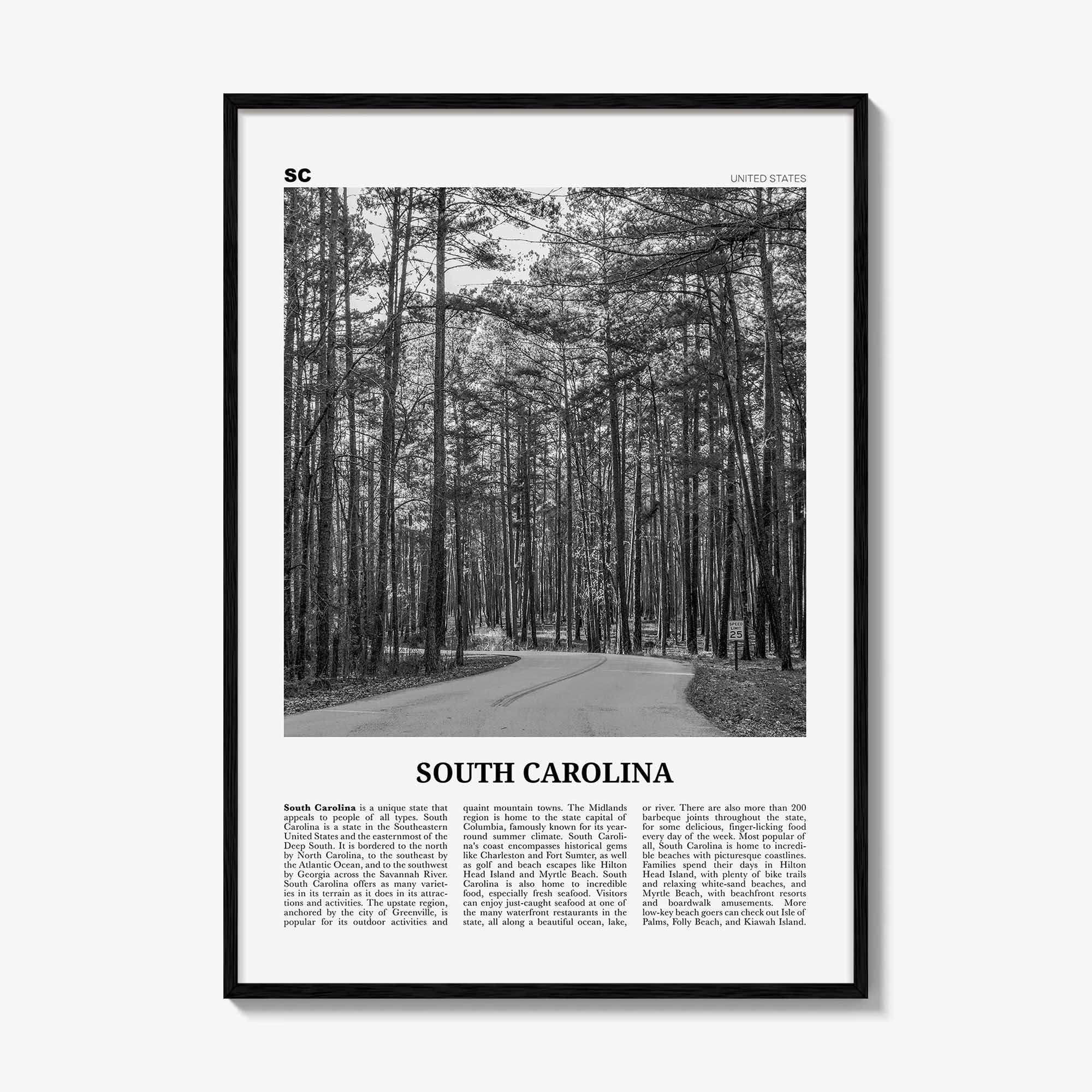 South Carolina Print Black and White No 2, South Carolina Wall Art, South Carolina Poster, South Carolina Photo, USA United States