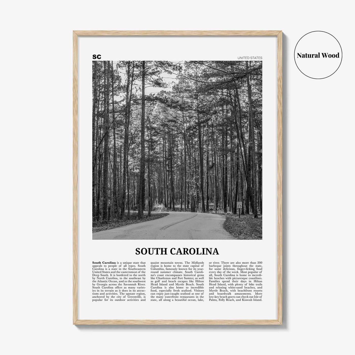 South Carolina Print Black and White No 2, South Carolina Wall Art, South Carolina Poster, South Carolina Photo, USA United States