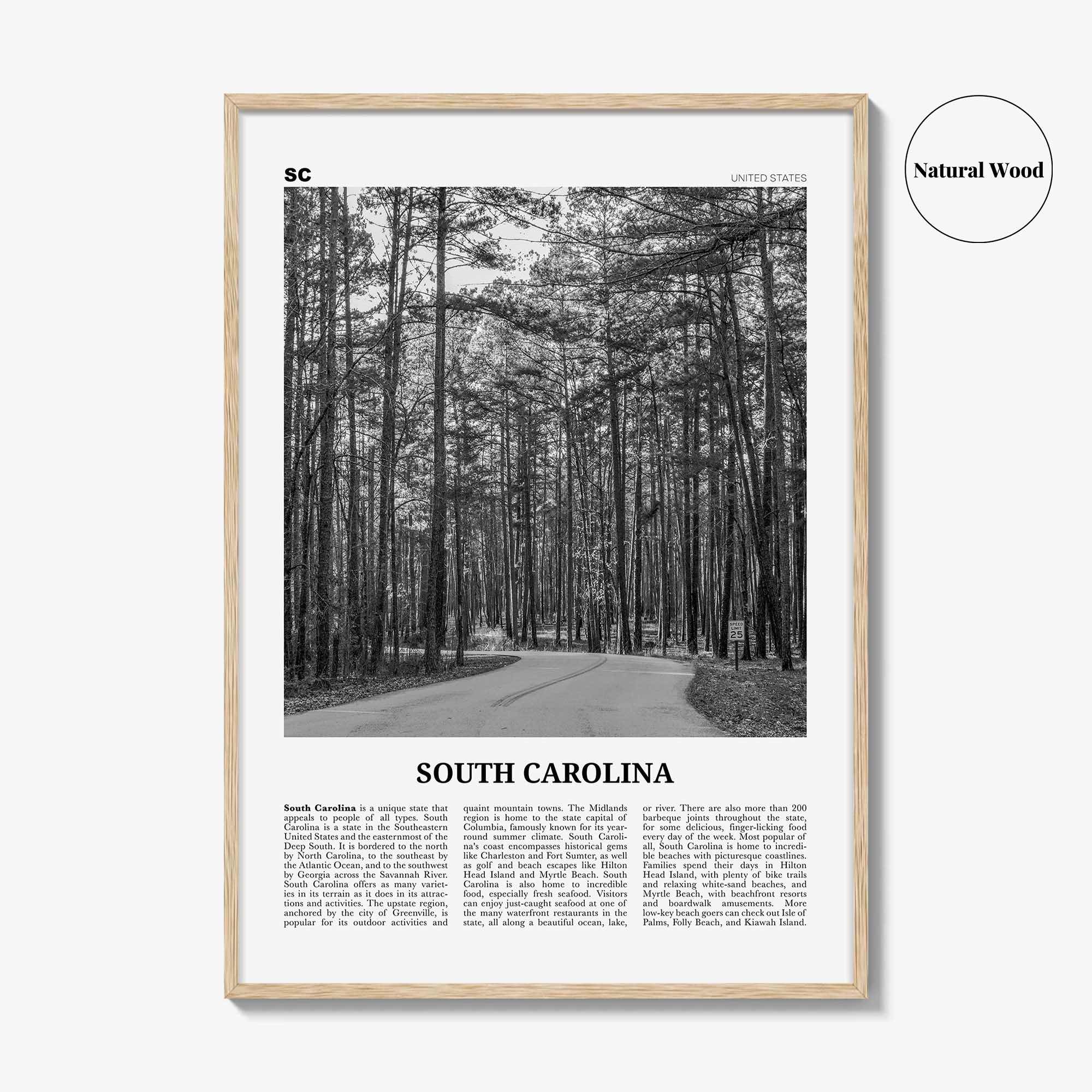 South Carolina Print Black and White No 2, South Carolina Wall Art, South Carolina Poster, South Carolina Photo, USA United States