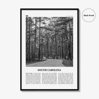 South Carolina Print Black and White No 2, South Carolina Wall Art, South Carolina Poster, South Carolina Photo, USA United States