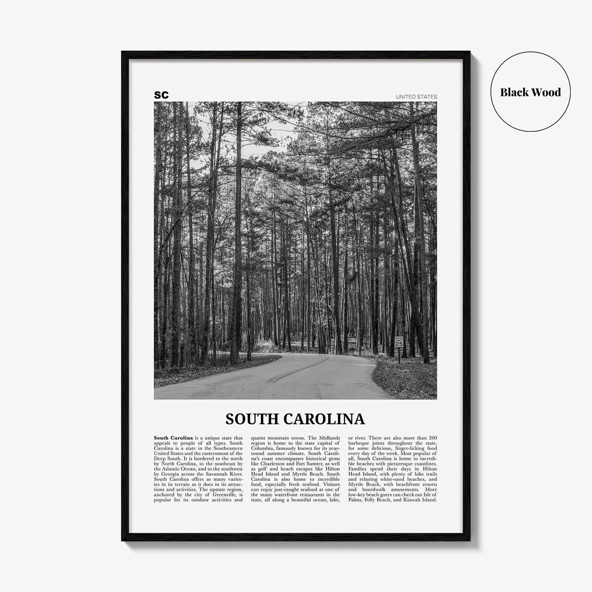 South Carolina Print Black and White No 2, South Carolina Wall Art, South Carolina Poster, South Carolina Photo, USA United States