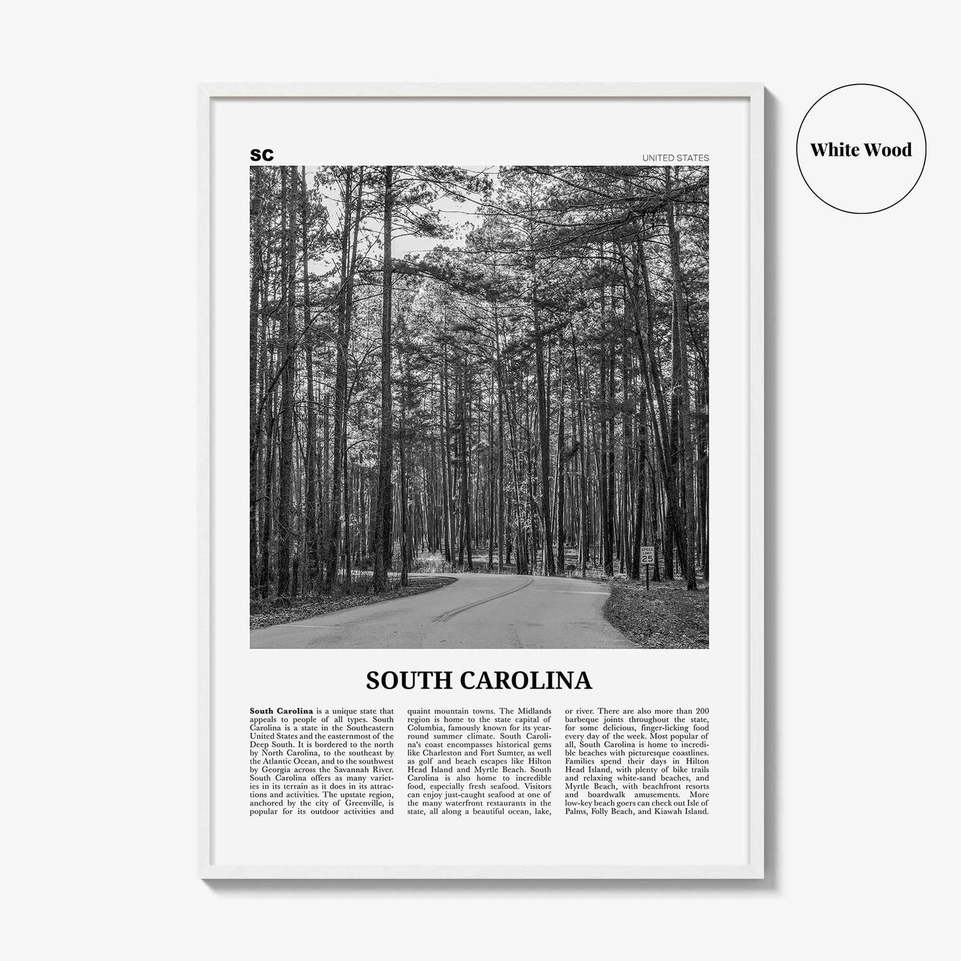 South Carolina Print Black and White No 2, South Carolina Wall Art, South Carolina Poster, South Carolina Photo, USA United States