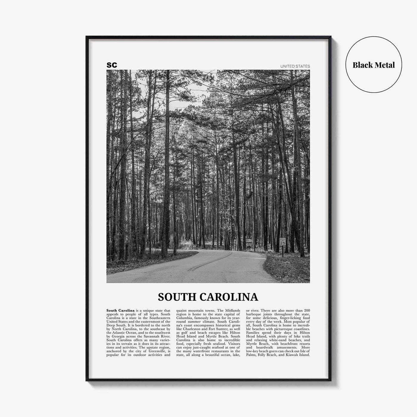 South Carolina Print Black and White No 2, South Carolina Wall Art, South Carolina Poster, South Carolina Photo, USA United States