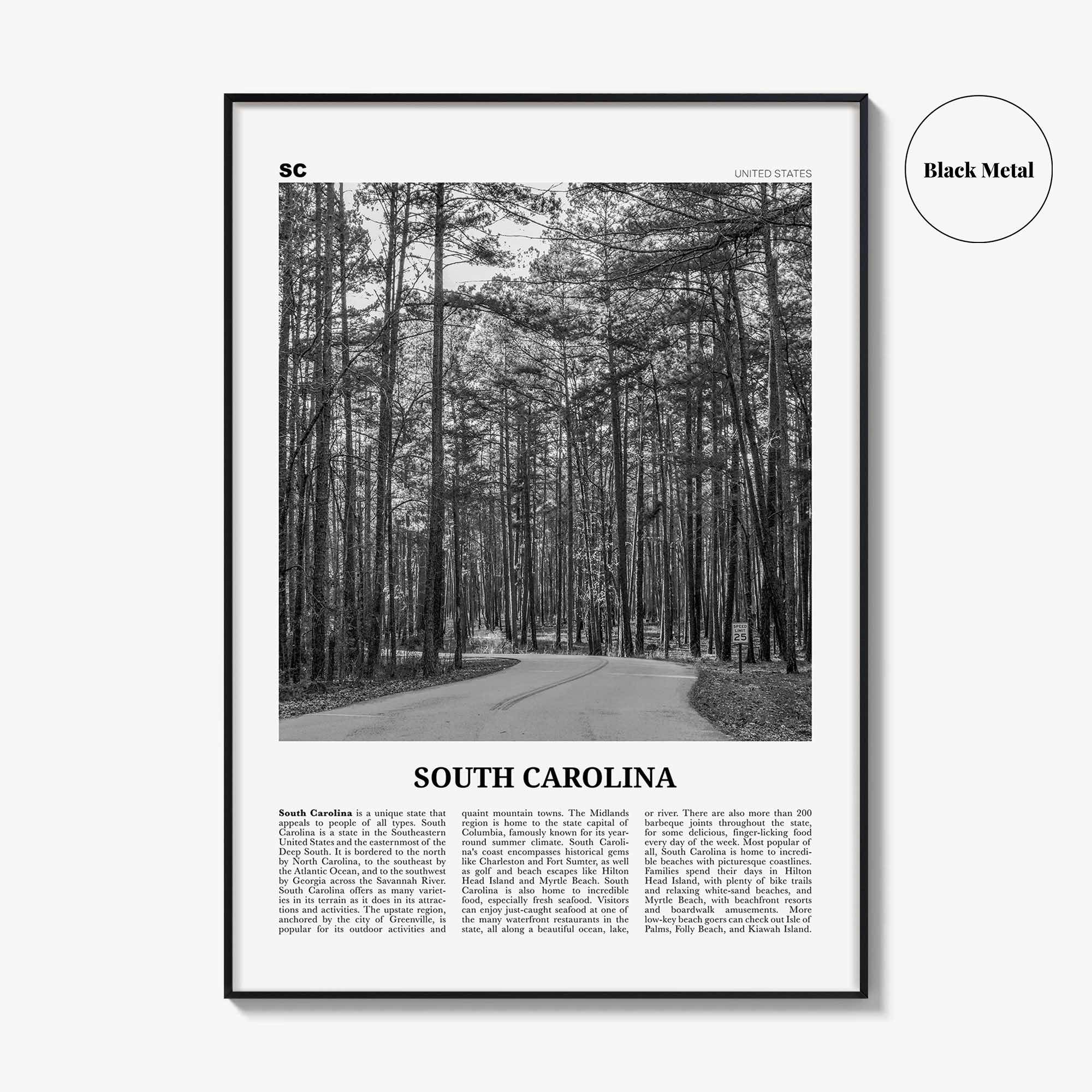 South Carolina Print Black and White No 2, South Carolina Wall Art, South Carolina Poster, South Carolina Photo, USA United States