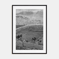 Sri Lanka Photo B&W Poster
