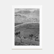 Sri Lanka Photo B&W Poster