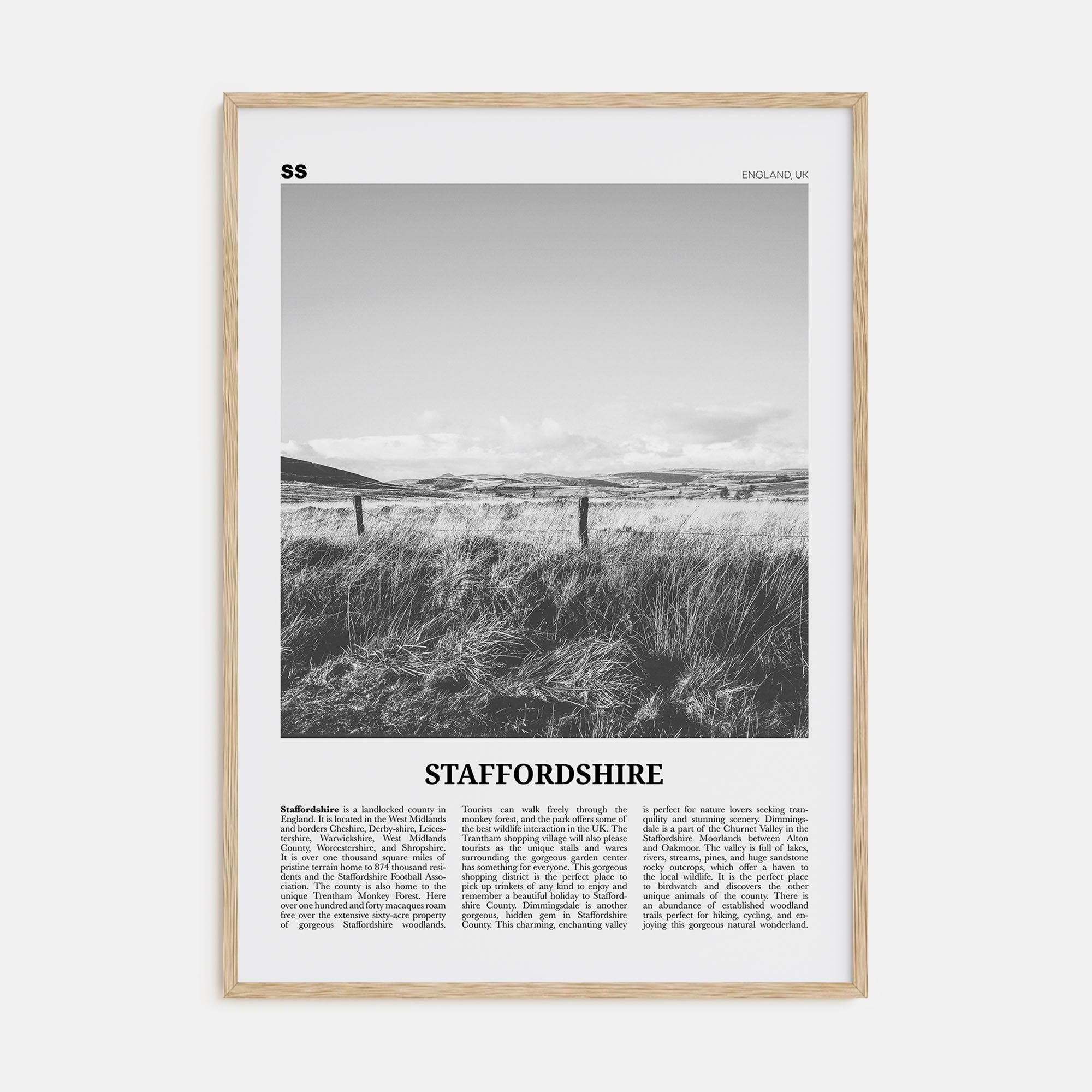 Staffordshire Travel B&W Poster