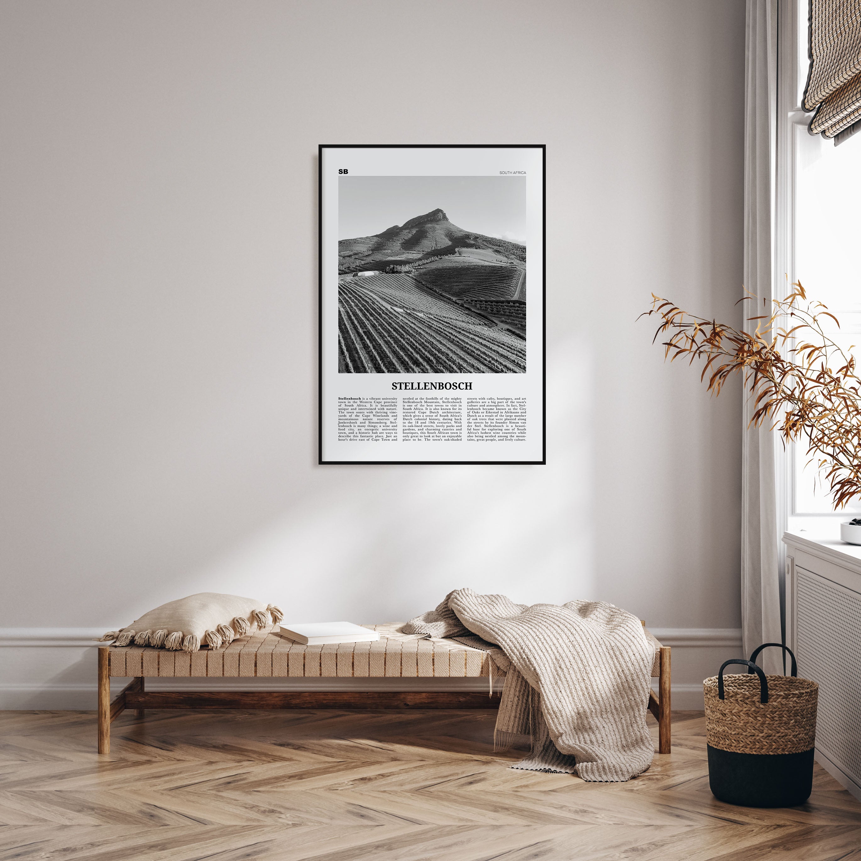 Stellenbosch Travel B&W Poster