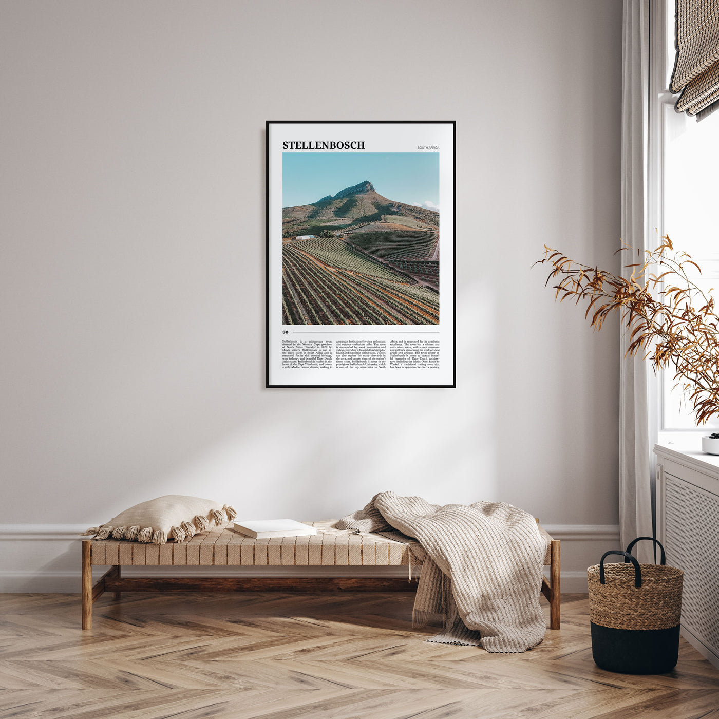Stellenbosch Travel Color Poster