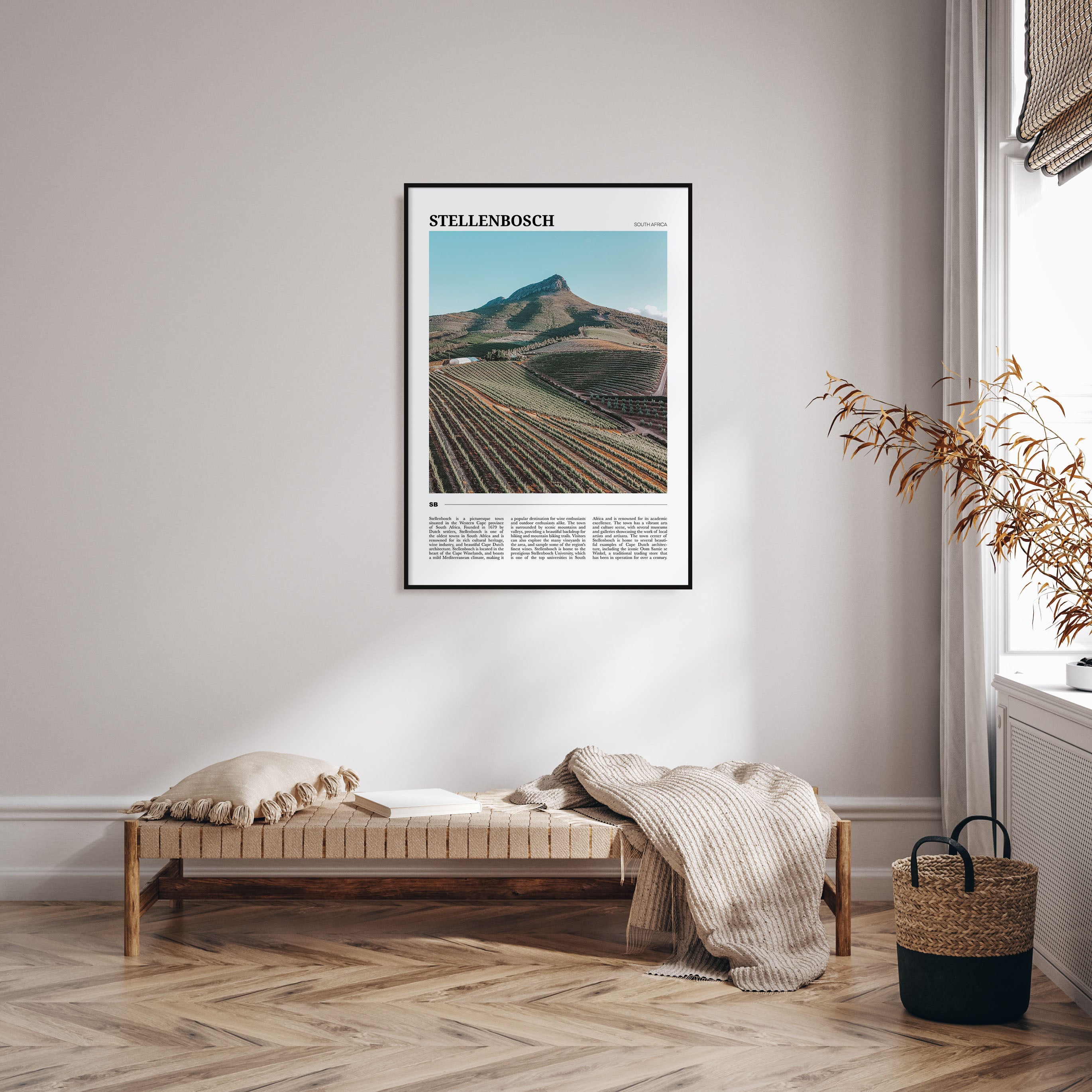 Stellenbosch Travel Color Poster
