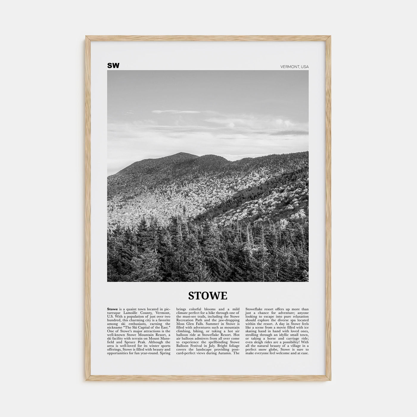 Stowe Travel B&W No 2 Poster