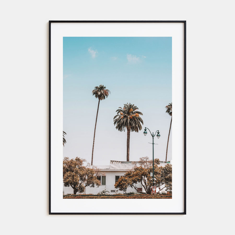 Summer Morning in California Photo Color No 4 Poster