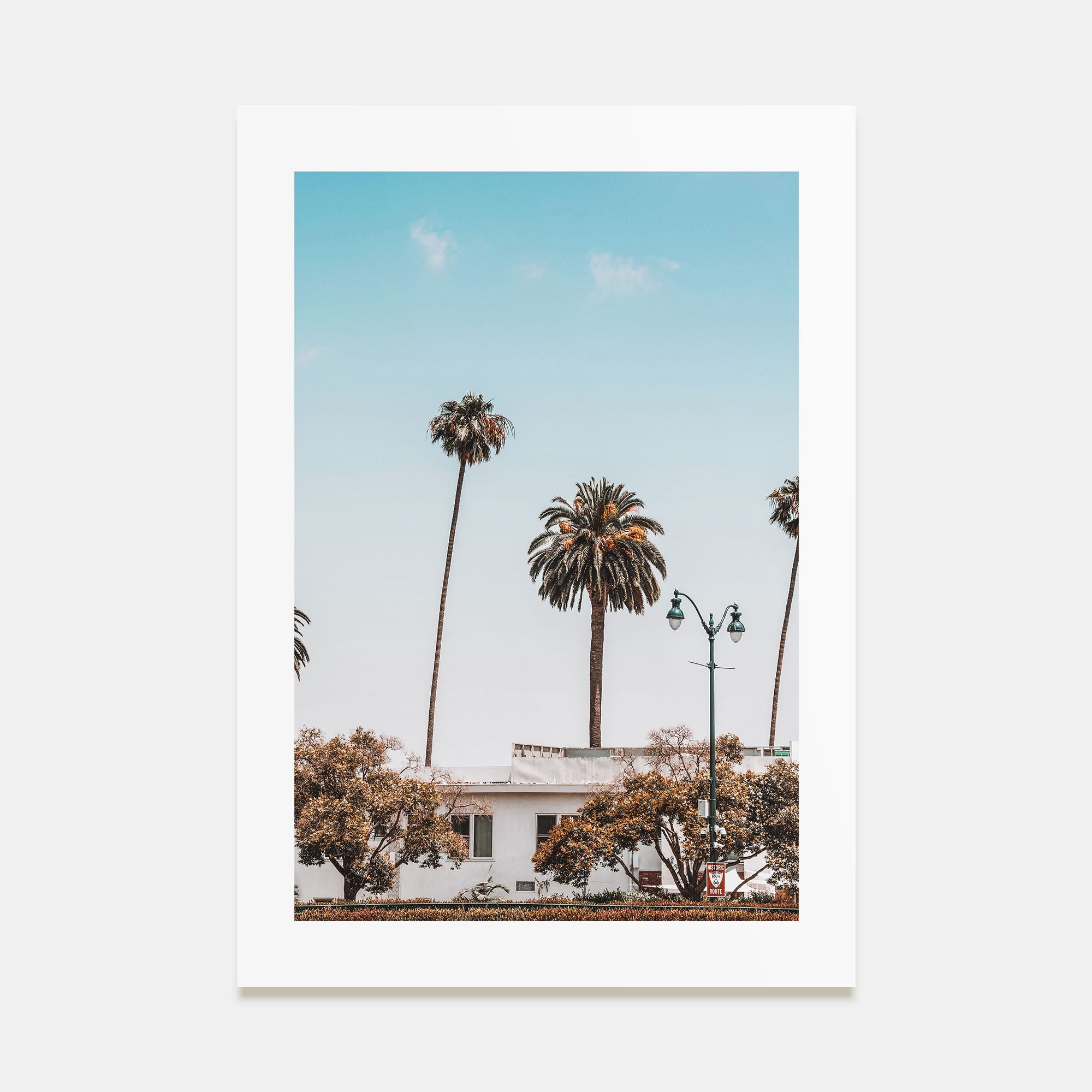 Summer Morning in California Photo Color No 4 Poster