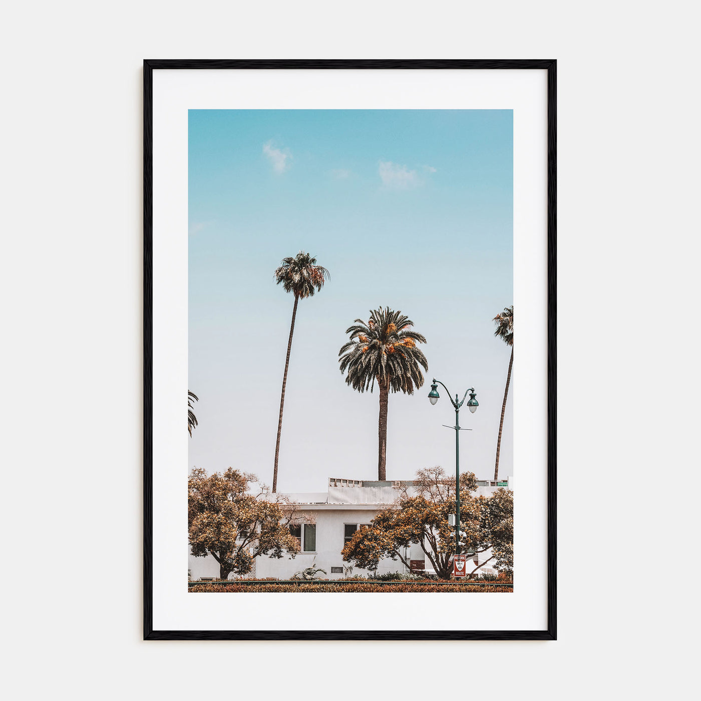 Summer Morning in California Photo Color No 4 Poster