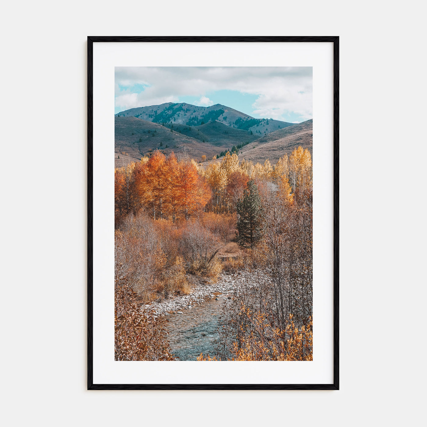 Sun Valley Photo Color No 1 Poster