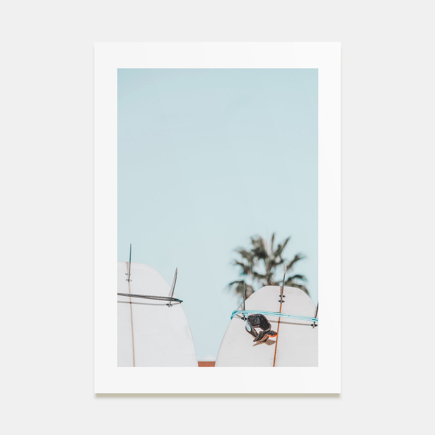 Surfboards Photo Color No 3 Poster